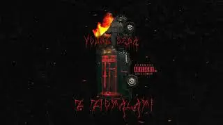 Young Seba - Z ziomalami (prod. SickLife x 162prime)