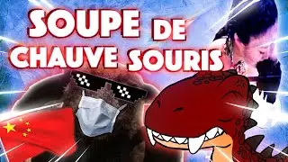 Soupe de Chauve Souris 🦇= CORONAVIRUS ?