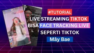 Cara Live Streaming Bisa Face Tracking Seperti TikTok May Bae - Ikut Gerakan Wajah Saat Live Stream