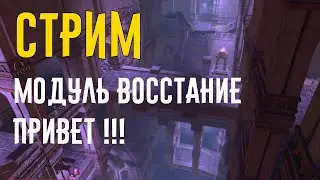 Модуль Восстание привет!!! // Neverwinter online Мод.17