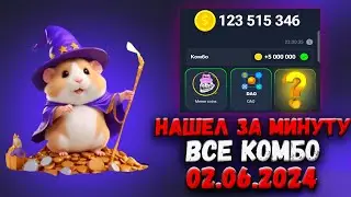 Хамстер Комбат комбо карты сегодня 2 июня! Combo Hamster Kombat