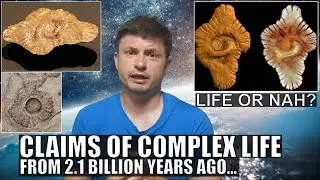 Controversial Evidence of Complex Life on Earth 2.1 Billion Years Ago