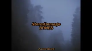 BONES - StormDamage /// ПЕРЕВОД
