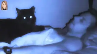 Могут ли кошки видеть призраков? Почему коты любят с нами спать?