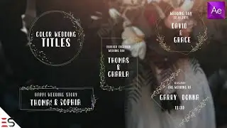 Color Wedding Titles | Download After Effects Template