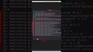 How to install gowitness in kali Linux 