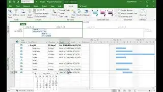 MS Project: Displaying task on Timeline