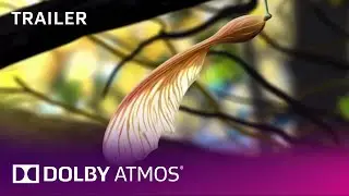 Dolby Atmos: 