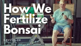 How We Fertilize Our Bonsai at RAKUYO