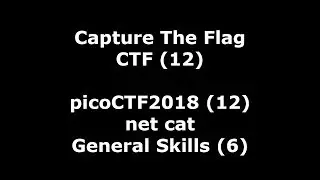 picoCTF2018 nr 12 - video walkthrough of net cat