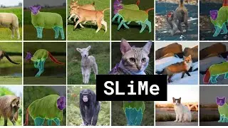 SLiMe: Segmentation Like Moi