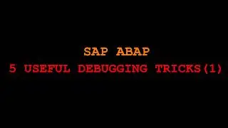 ABAP Program debugging for Functional Consultant