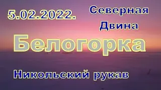 Belogorka. Delta of the Northern Dvina. They went out for reconnaissance. Winter fishing.