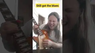 Соло, которое невозможно сыграть без эмоций🎸 