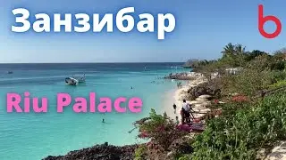 ЗАНЗИБАР. Где всегда океан. Отель Riu Palace Zanzibar