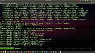 2020 | Linux Ubuntu 18.04.03 LTS |comando autoremove