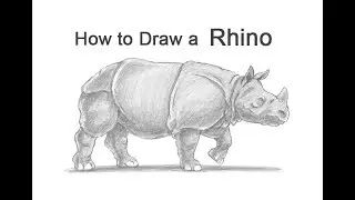 How to Draw a Rhinoceros (Indian)