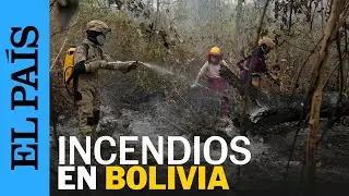 BOLIVIA | Declaran emergencia nacional tras incendios forestales | EL PAÍS