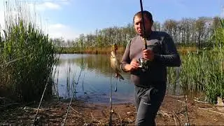 РЫБАЛКА на КАРАСЯ.