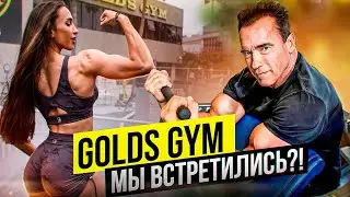 GOLDS GYM VENICE | ЯГОДИЦЫ