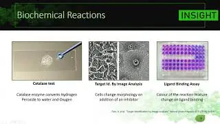 Molecular Docking Free Class
