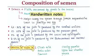 Composition of semen | Handwritten notes