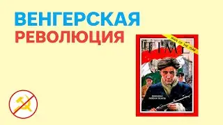 Венгерская революция 1956 года. История одного из самых крупных антисоветских протестов