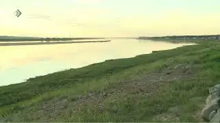 Власти села на юге Коми призвали владельцев коров не пускать «рогатых» питомцев в свободный выгул.