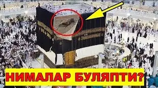 ХАММА КУРСИН НЕГА КАБАНИ ХАШОРАТЛАР БОСДИ?