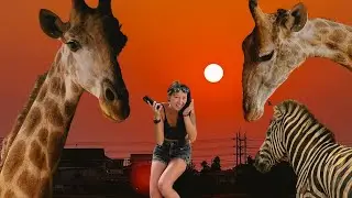Жирафы которых можно кормить с рук! Safari World Bangkok невероятное место