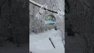 Новый год в деревне!    