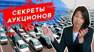 Как покупать ПО ПЕРЕГОВОРАМ на аукционе. Ждать осень или купить сейчас?