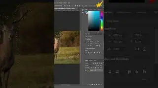 How to remove any object from any background in adobe photoshop  