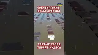 Оренбургские зубы дракона Попы Путина Как получить помощь выплаты? 
