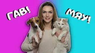 ОТЛИЧИЯ КОШЕК🐱 И СОБАК🐶 | У МЕНЯ ПОЯВИЛСЯ КОТ?! |  СРАВНИВАЮ КОШКУ С СОБАКОЙ