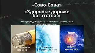 О компании Сово-Сова, продукция, маркетинг, промоушен возможности | Денис Трофимов и Олег Патлай