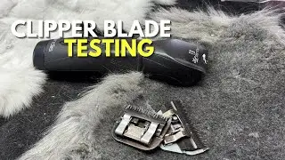 Want Perfect Cuts? Watch This Clipper Blade Testing Now