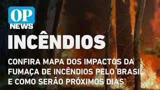 Fumaça de incêndios do Brasil pode chegar à Argentina e ao Uruguai; veja impacto l O POVO NEWS