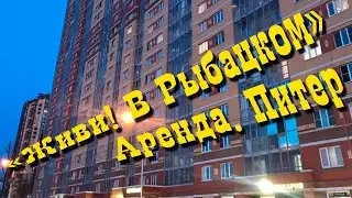 Живи! В Рыбацком | Аренда Питер | 1 комн квартира