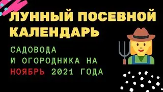 Лунный посевной календарь садовода и огородника на ноябрь 2021 года