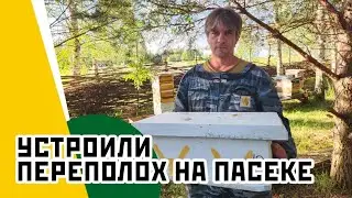 Экстремальное объединение семей