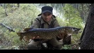 Рыбалка в Карелии с ночёвкой на щучьей реке дающей щуку\Жареная картошка на костре под бальзам 18+)