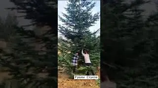 Рувим Стуков