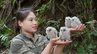 detecting nests of baby birds, skills in trapping wild boars, taming baby birds, 