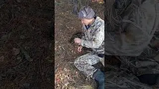 куда пропадают люди в лесу