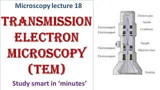 Transmission Electron Microscope| working principle| Advantages, disadvantages|Microscopy lecture 18