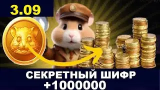 3 сентября ежедневный шифр в хомяка - Hamster Kombat Новый Шифр в Хамстер Комбат  2.09 и 3.09