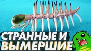 Очень странные животные которые ВЫМЕРЛИ