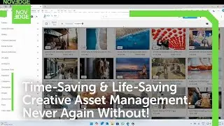 Streamline Your Creative Asset Management With Daminion