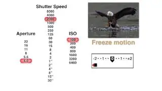 How to Pick the Best Aperture, Shutter Speed and ISO Settings with John Greengo | CreativeLive